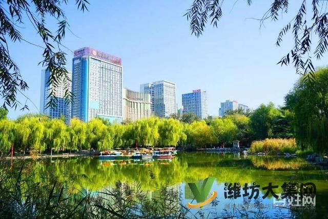 陽光一百